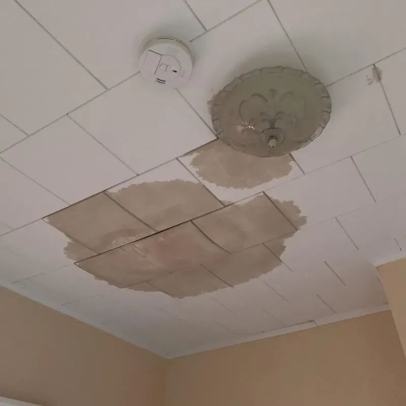 Ceiling Water Damage Repair in Inkerman, PA