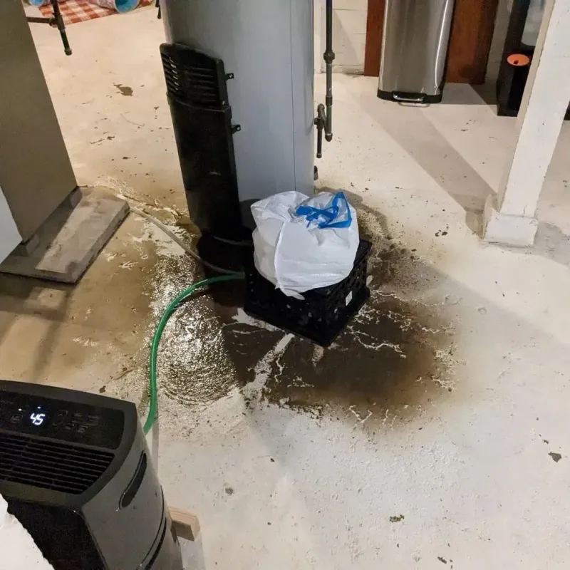 Sewage Backup Cleanup Service in Inkerman, PA